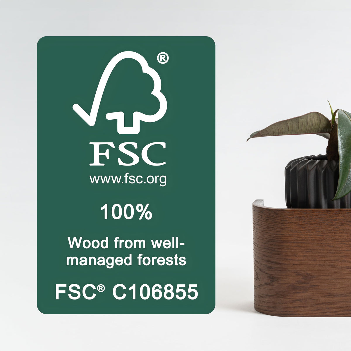 Kazai - Porte-Manteau Mural Bois 'Toke'